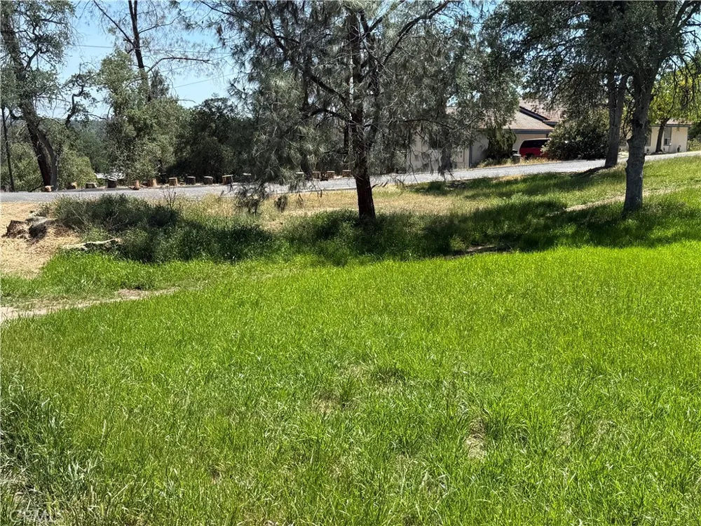 958 N Kings Canyon Court Coarsegold, CA 93614