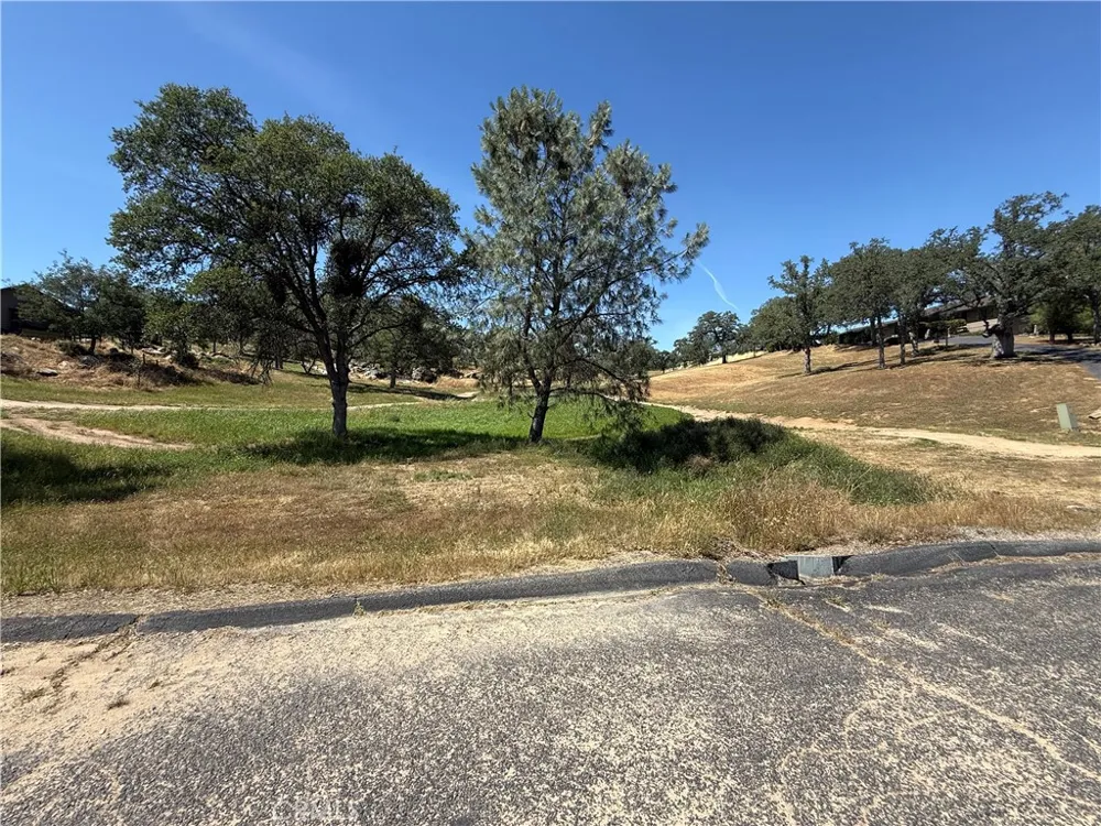958 N Kings Canyon Court Coarsegold, CA 93614