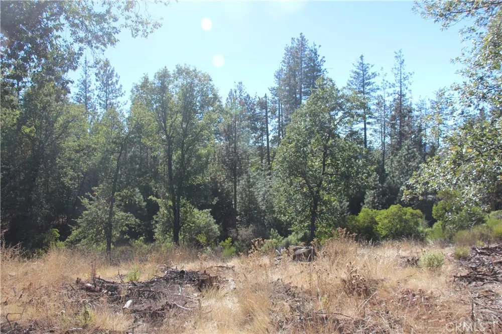 9072 Fox Drive Cobb, CA 95426
