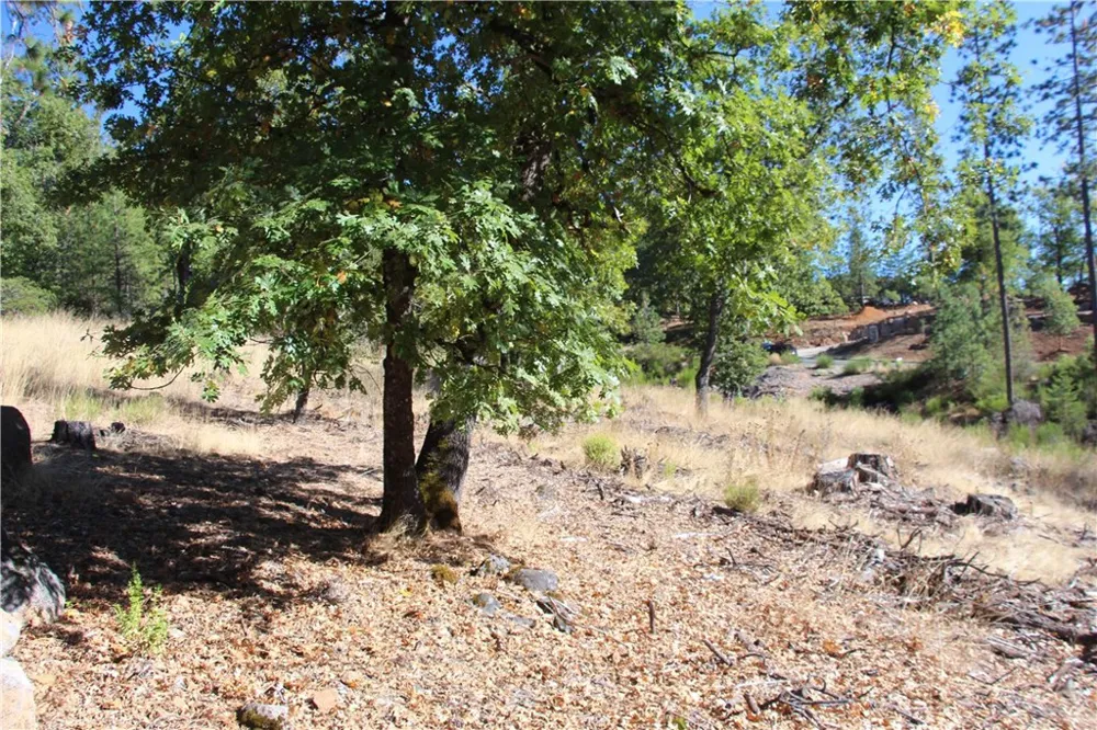 9072 Fox Drive Cobb, CA 95426