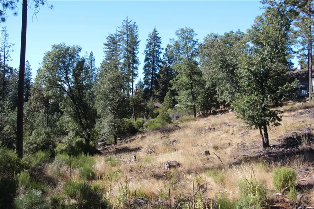 9072 Fox Drive Cobb, CA 95426