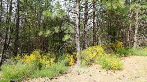 9072 Fox Drive