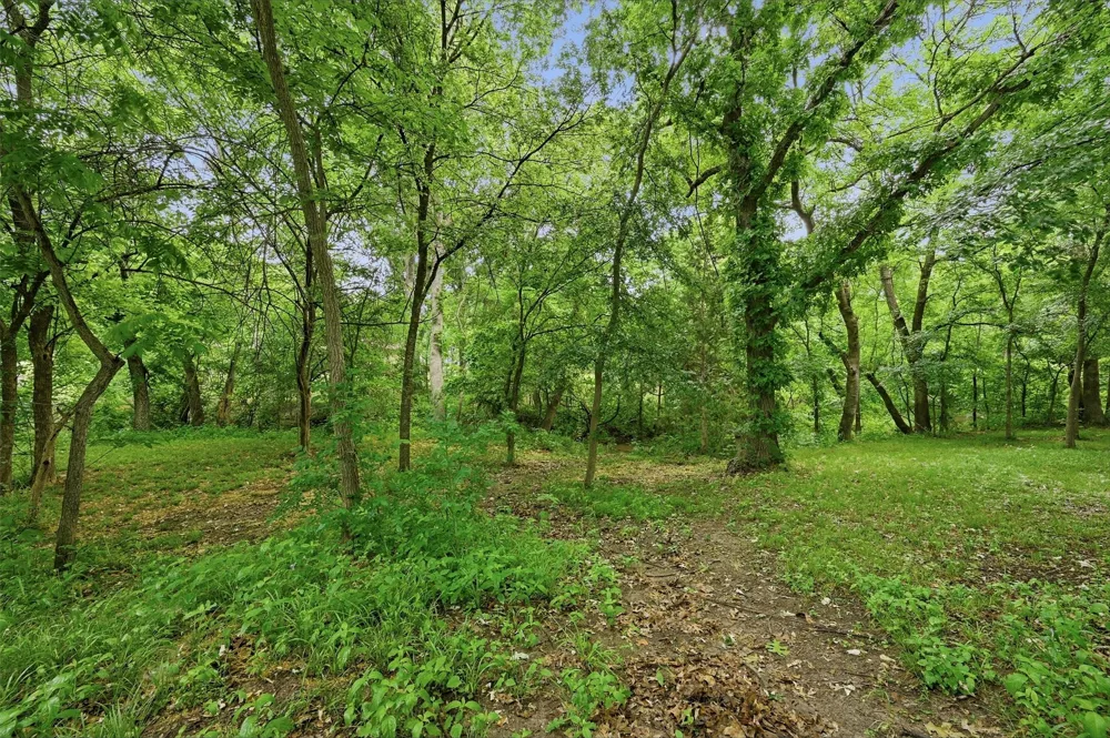 31 Forest Hills Circle Gunter, TX 75058