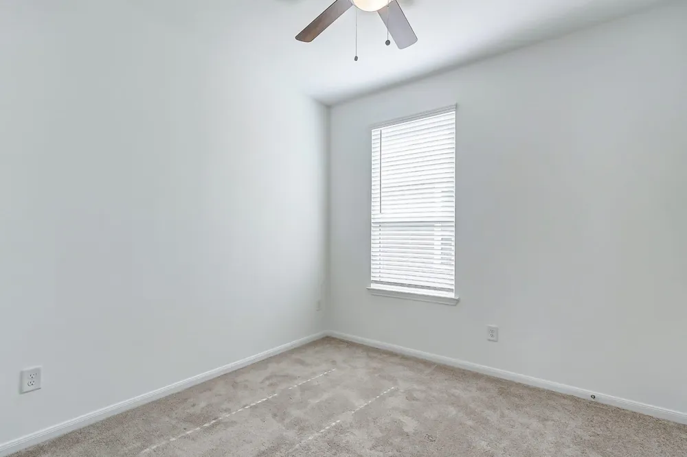 17815 Fox Nut Lane Hockley, TX 77447