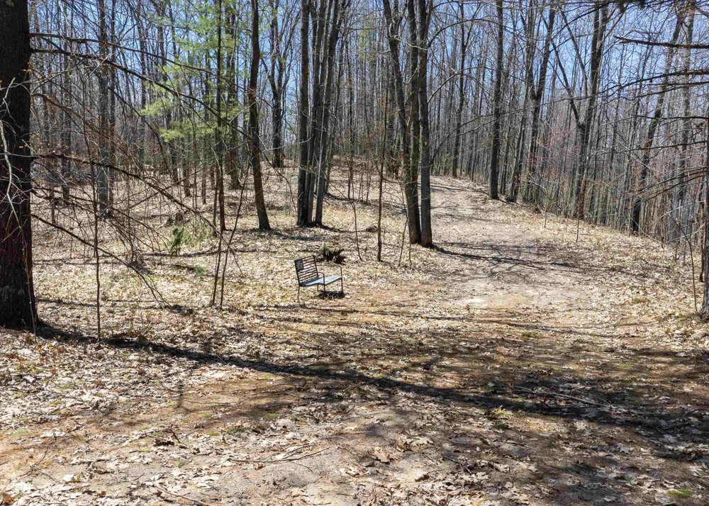 S 47 3/4 ROAD Haring Charter Township, MI 49601