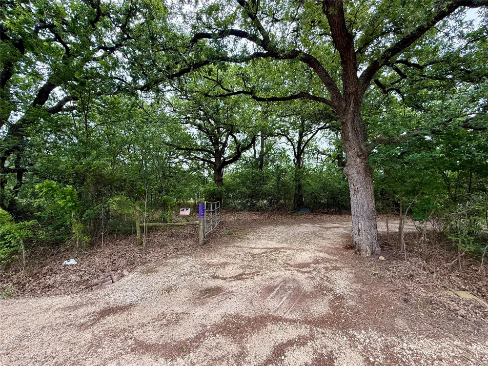 FM 642 Purdon, TX 76679