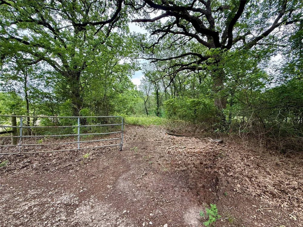 FM 642 Purdon, TX 76679