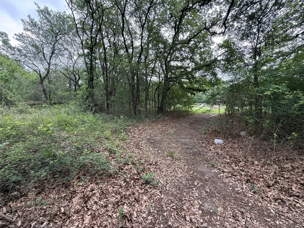 FM 642 Purdon, TX 76679