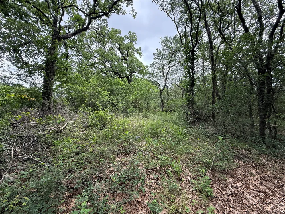 FM 642 Purdon, TX 76679
