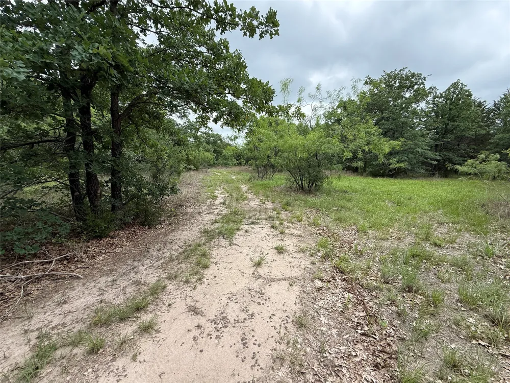FM 642 Purdon, TX 76679