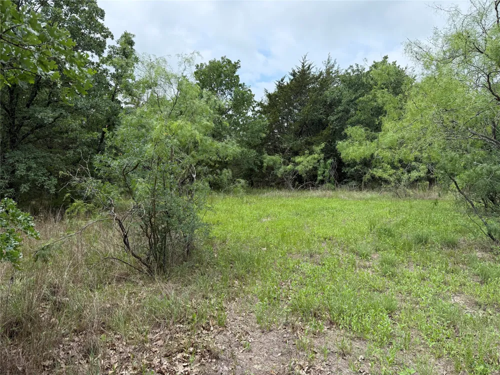 FM 642 Purdon, TX 76679