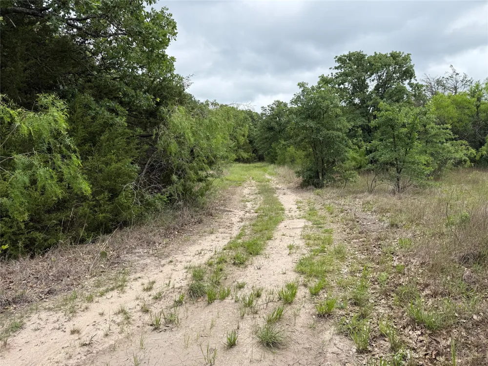 FM 642 Purdon, TX 76679