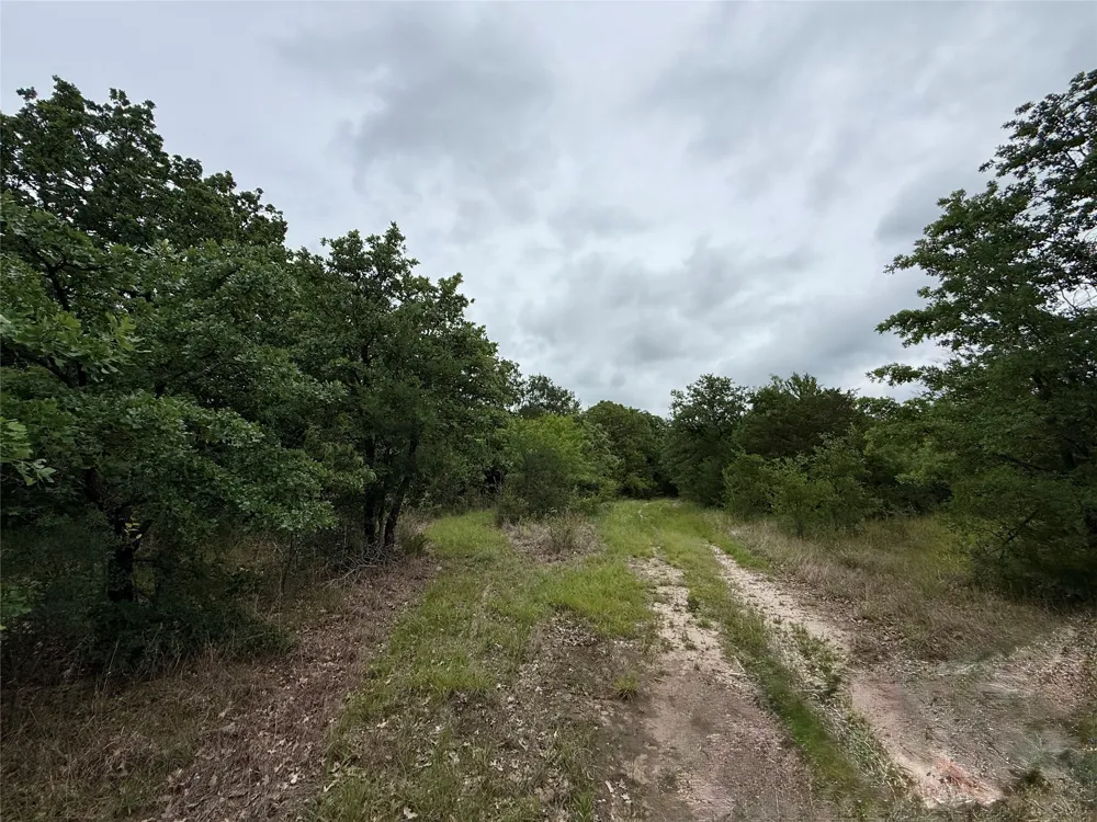 FM 642 Purdon, TX 76679