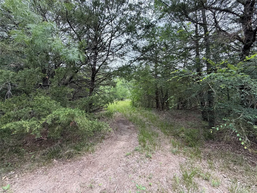 FM 642 Purdon, TX 76679
