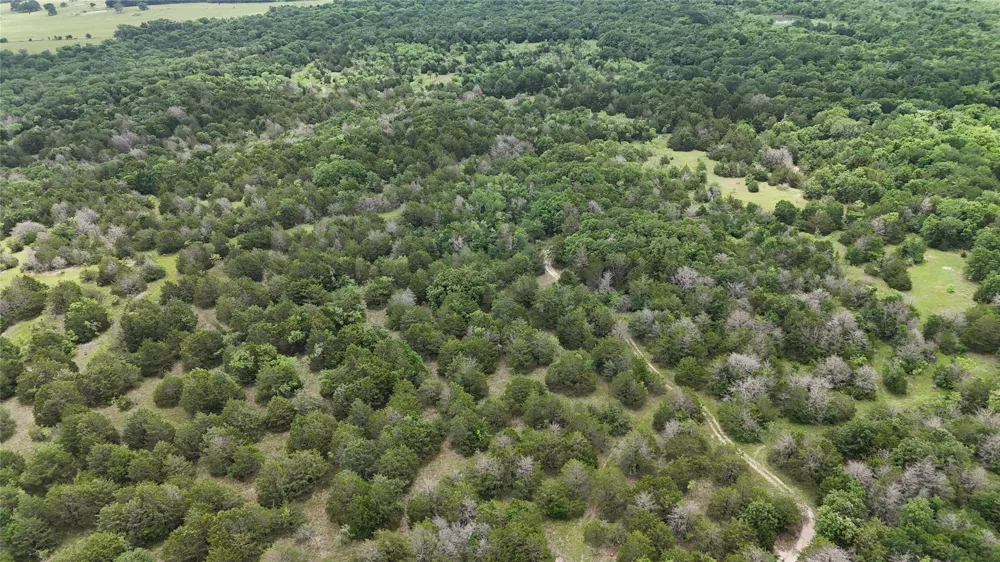 FM 642 Purdon, TX 76679