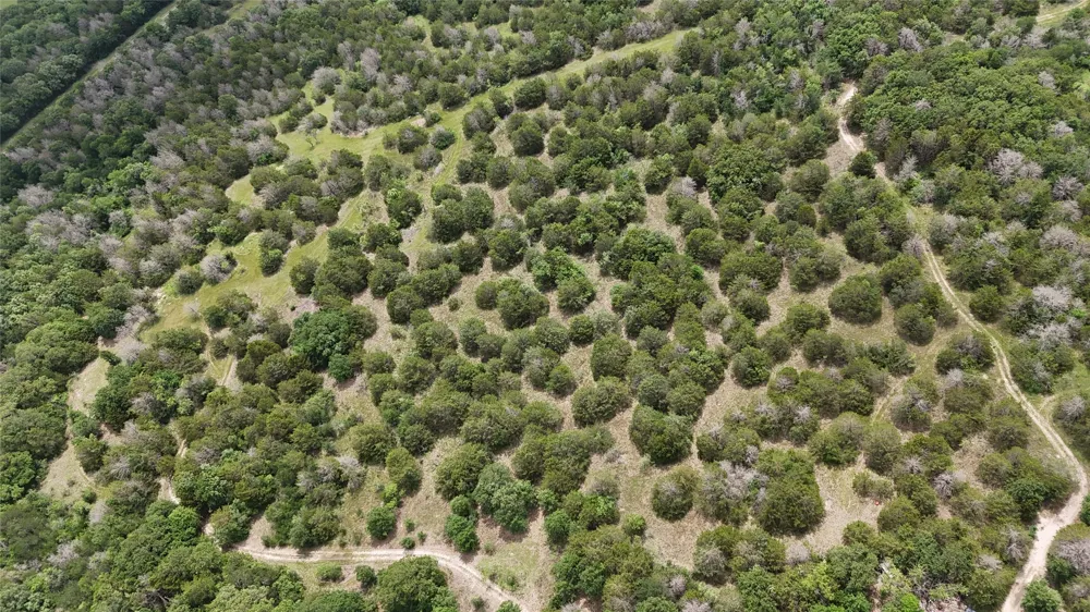 FM 642 Purdon, TX 76679