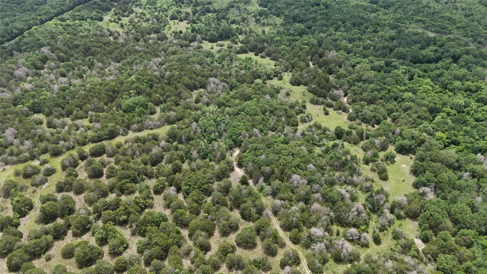 FM 642 Purdon, TX 76679
