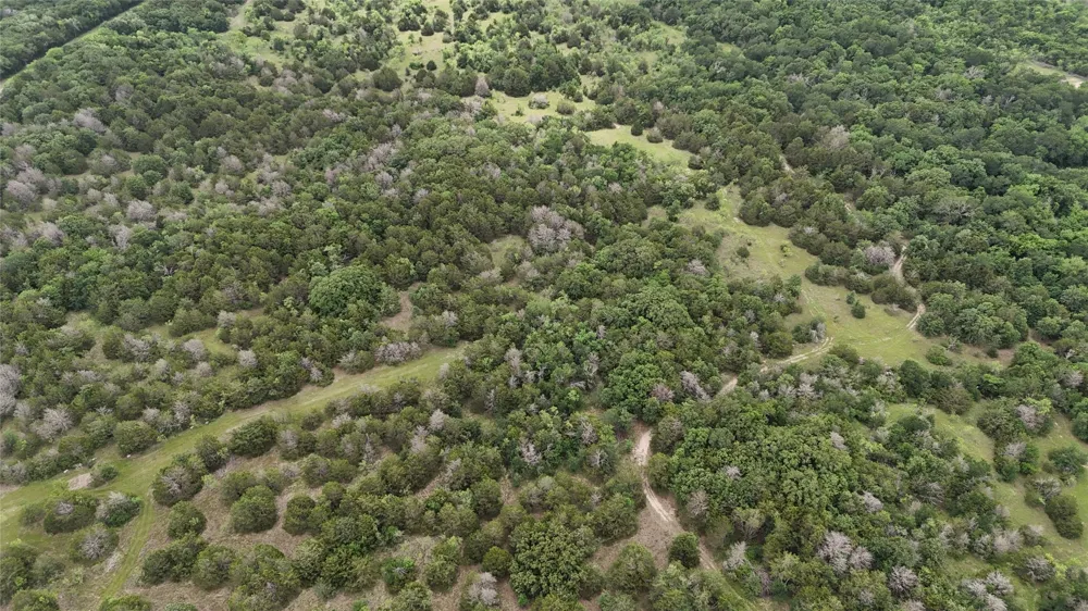 FM 642 Purdon, TX 76679
