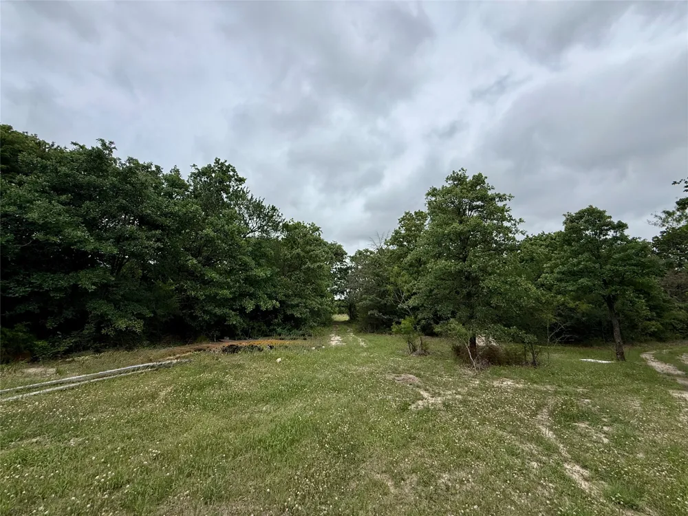 FM 642 Purdon, TX 76679