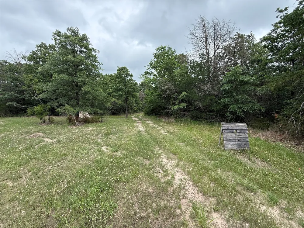 FM 642 Purdon, TX 76679