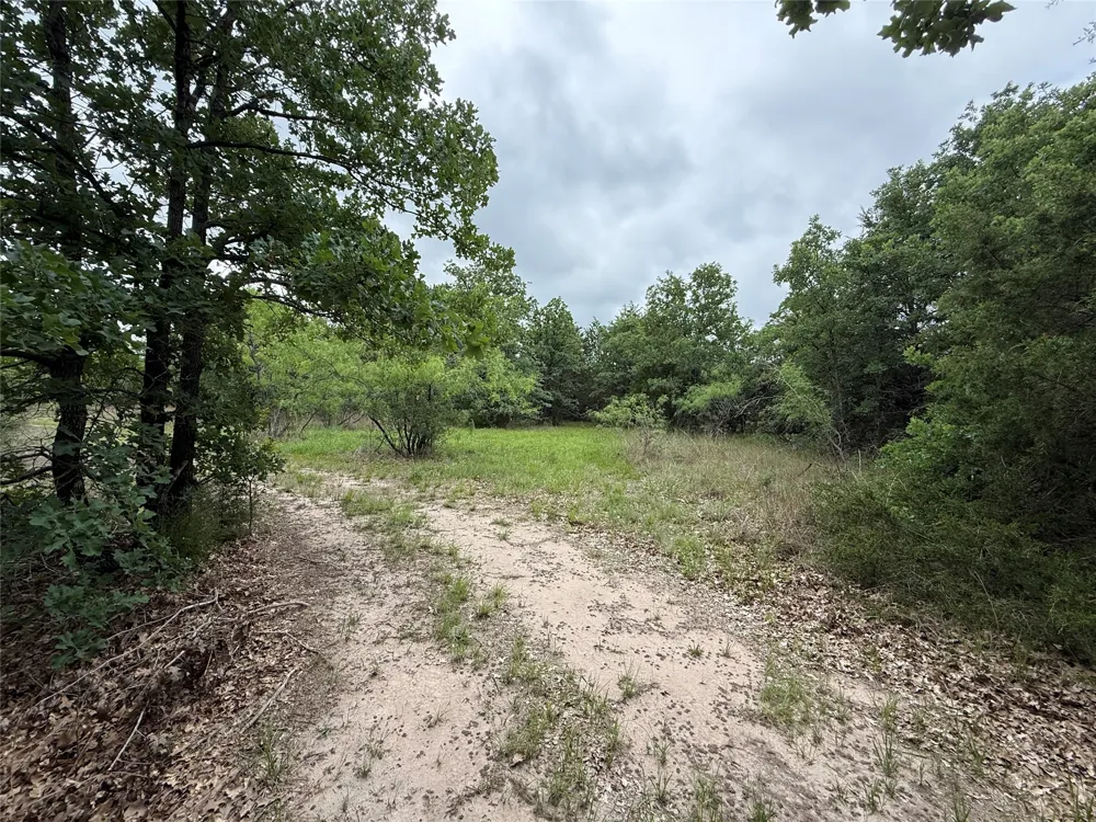 FM 642 Purdon, TX 76679