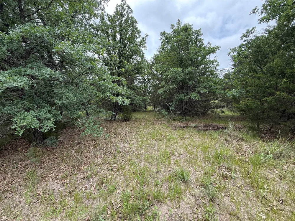 FM 642 Purdon, TX 76679