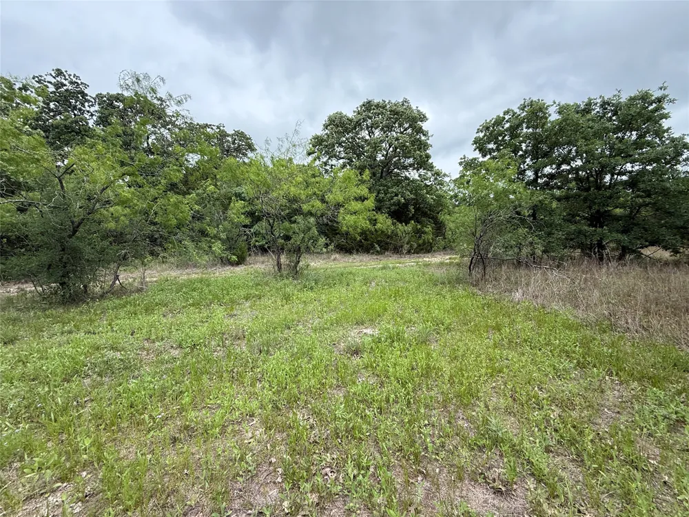 FM 642 Purdon, TX 76679