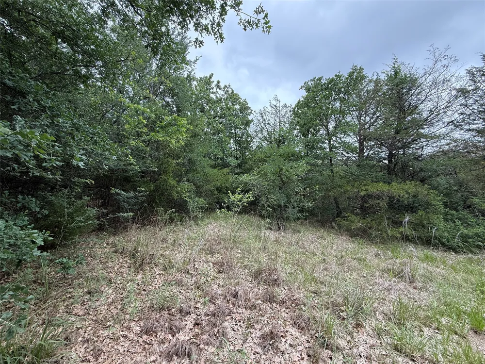 FM 642 Purdon, TX 76679
