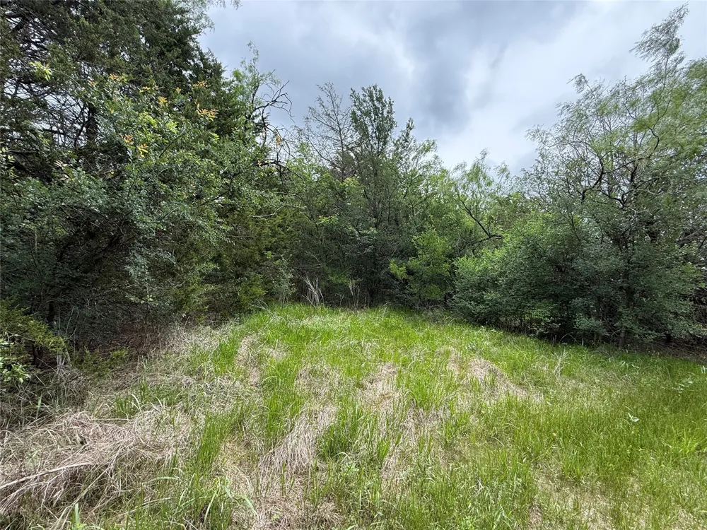 FM 642 Purdon, TX 76679