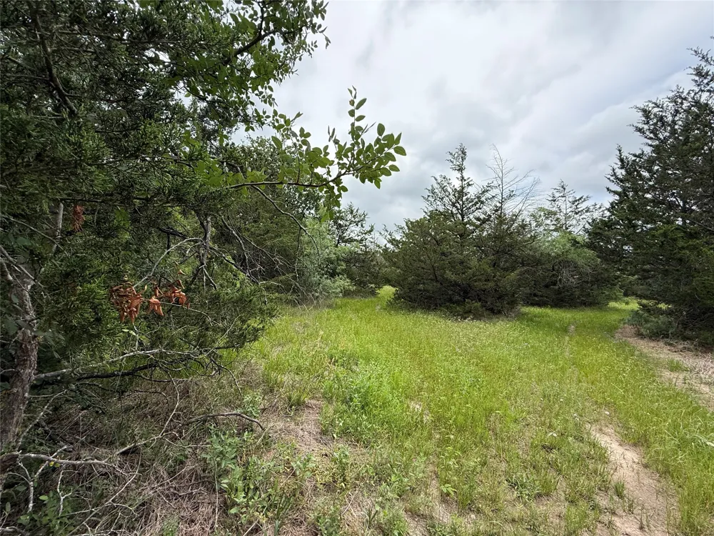 FM 642 Purdon, TX 76679