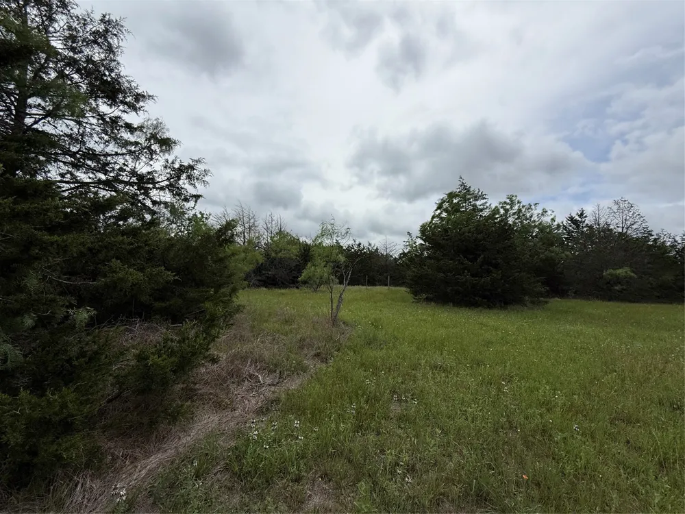 FM 642 Purdon, TX 76679