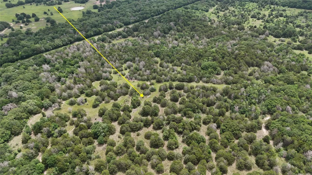 FM 642 Purdon, TX 76679