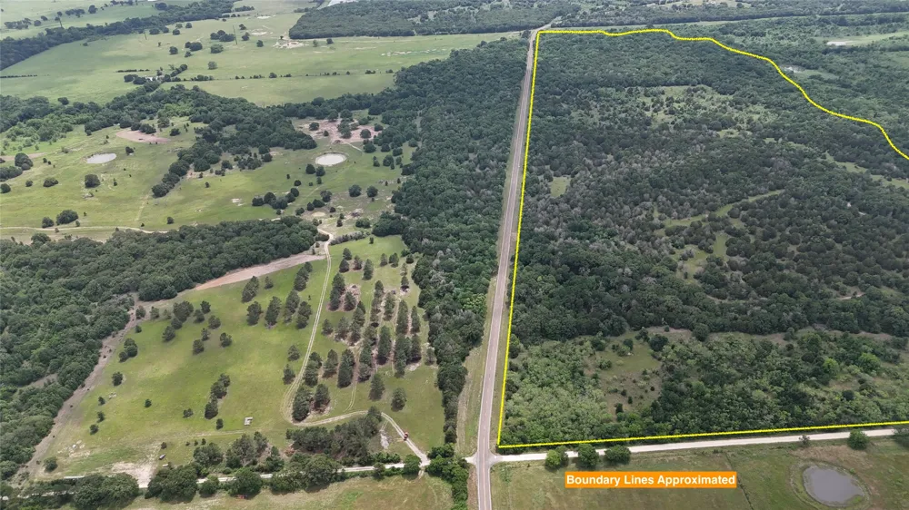FM 642 Purdon, TX 76679