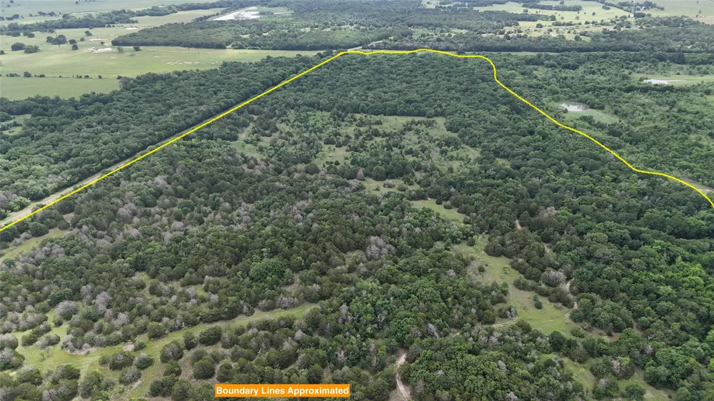 FM 642 Purdon, TX 76679