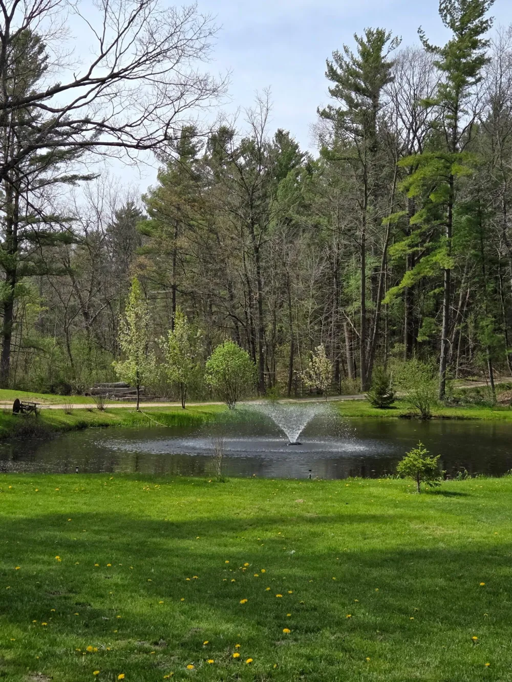 7140 Amy School Road Reynolds Township, MI 49329