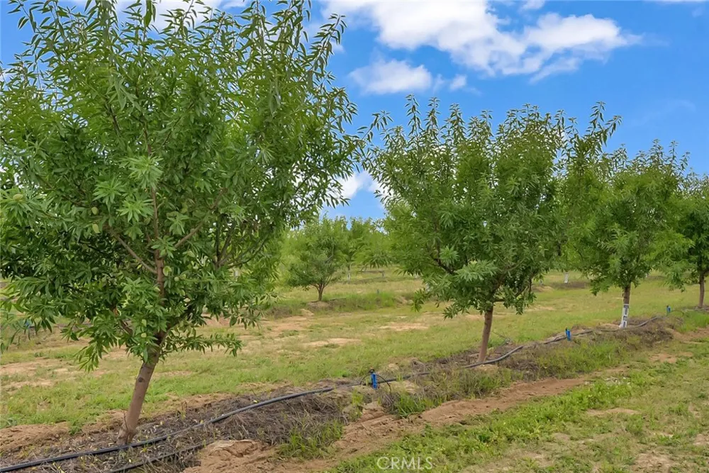 14706 Peach Avenue Livingston, CA 95334