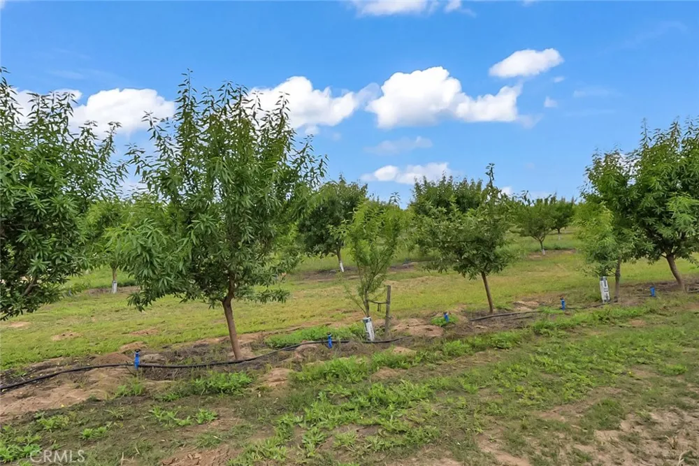 14706 Peach Avenue Livingston, CA 95334