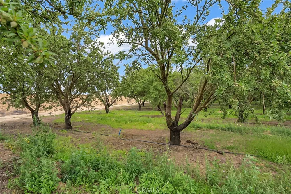 14706 Peach Avenue Livingston, CA 95334