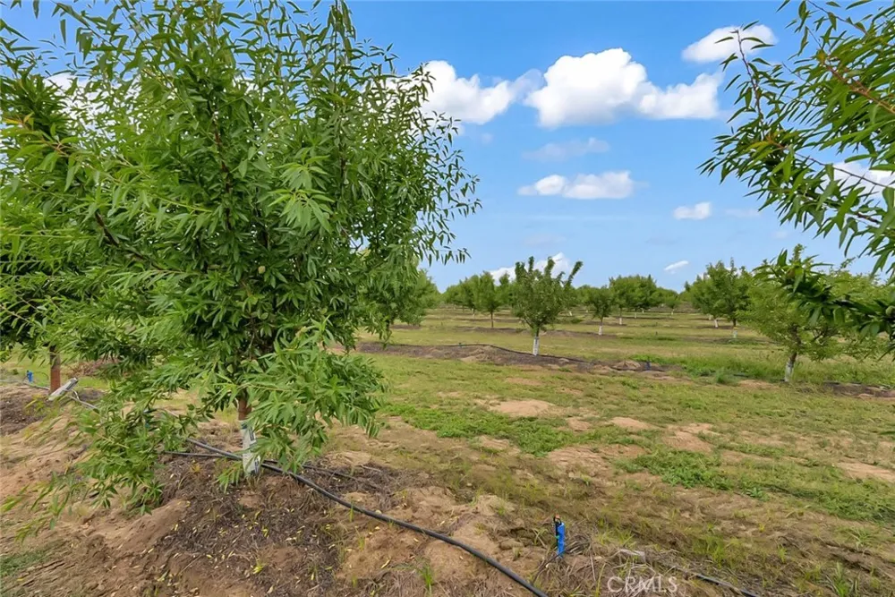 14706 Peach Avenue Livingston, CA 95334