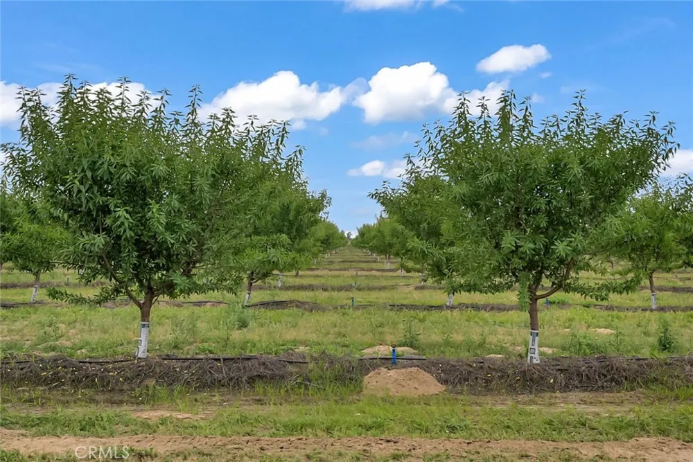 14706 Peach Avenue Livingston, CA 95334