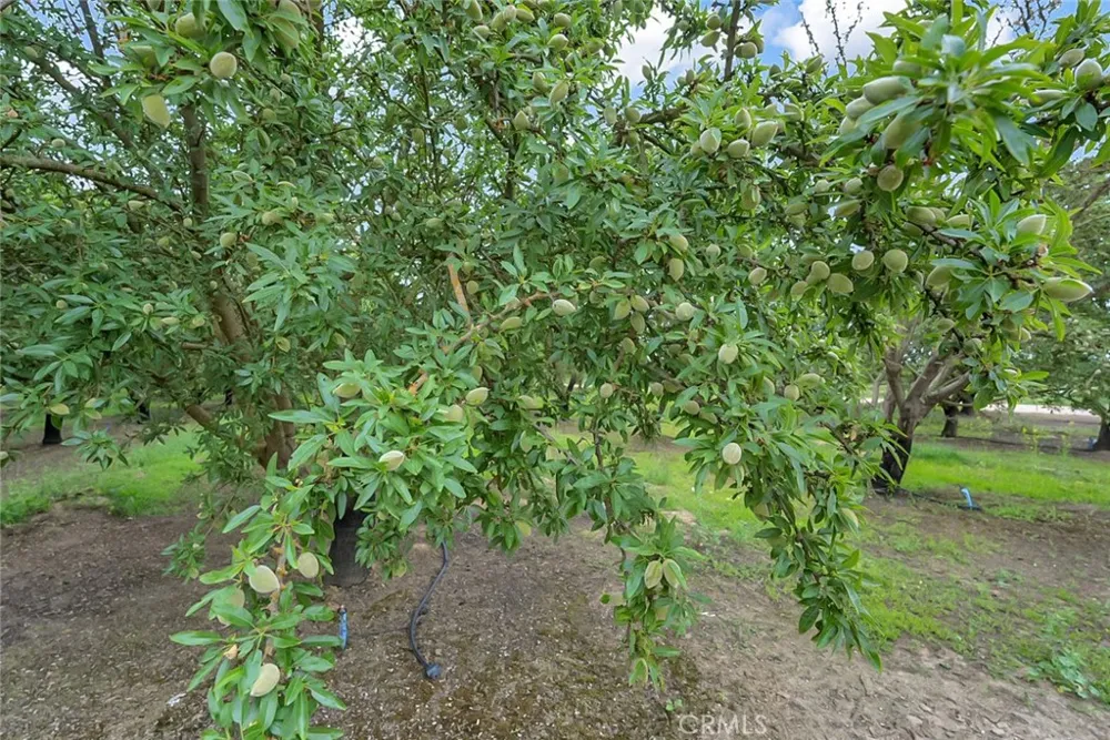 14706 Peach Avenue Livingston, CA 95334