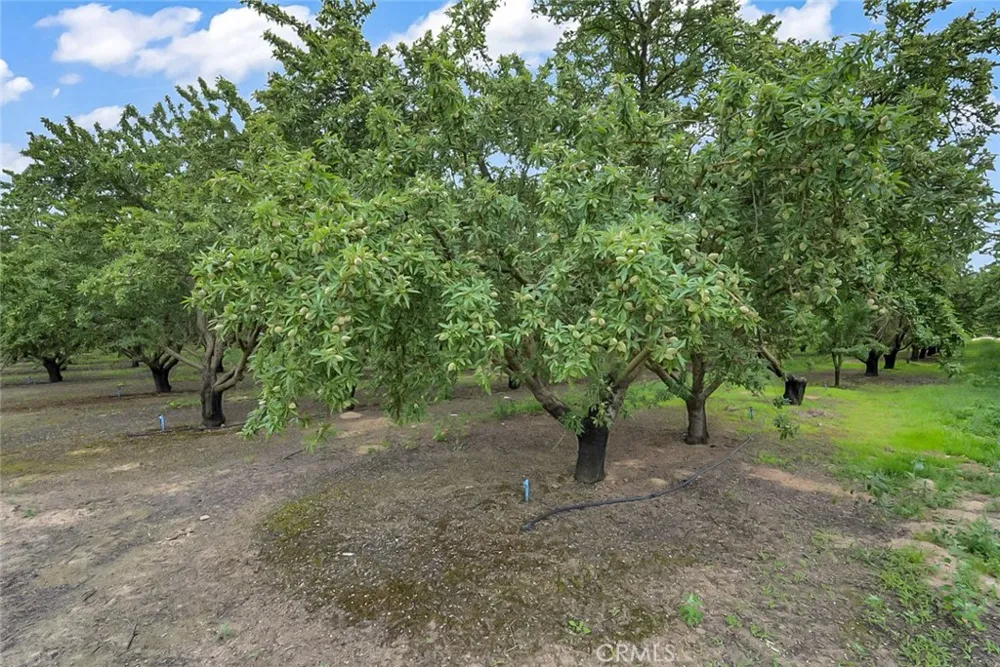 14706 Peach Avenue Livingston, CA 95334