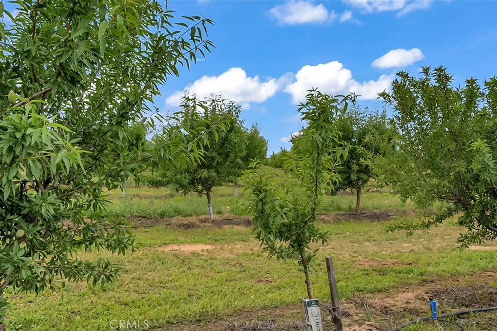 14706 Peach Avenue Livingston, CA 95334