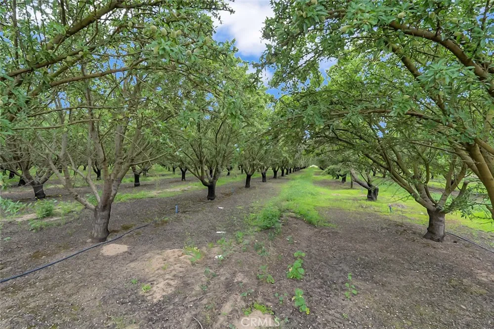 14706 Peach Avenue Livingston, CA 95334