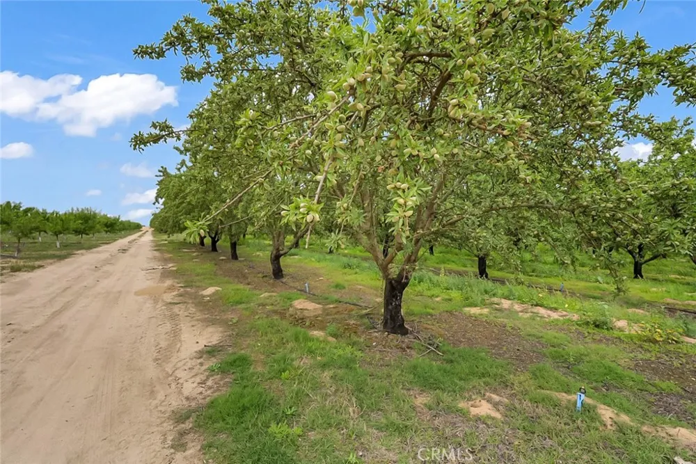 14706 Peach Avenue Livingston, CA 95334
