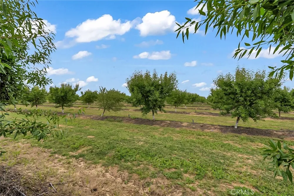 14706 Peach Avenue Livingston, CA 95334