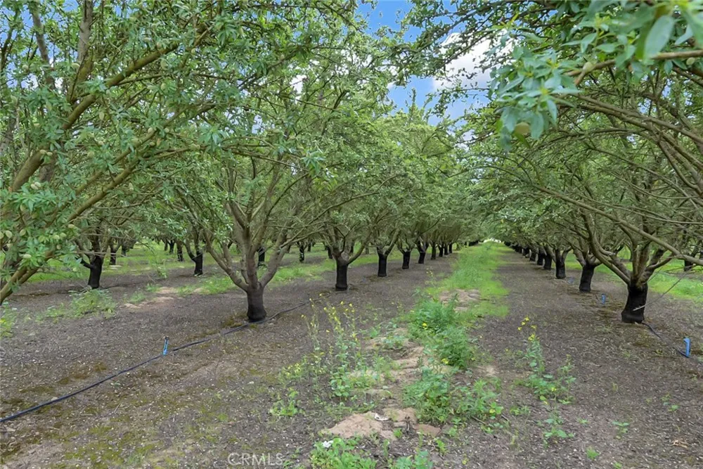 14706 Peach Avenue Livingston, CA 95334