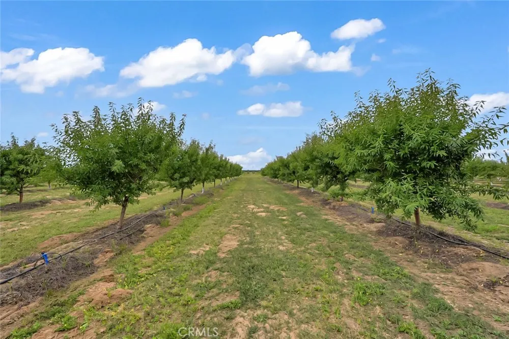 14706 Peach Avenue Livingston, CA 95334