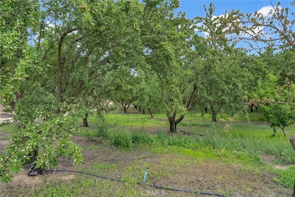 14706 Peach Avenue Livingston, CA 95334
