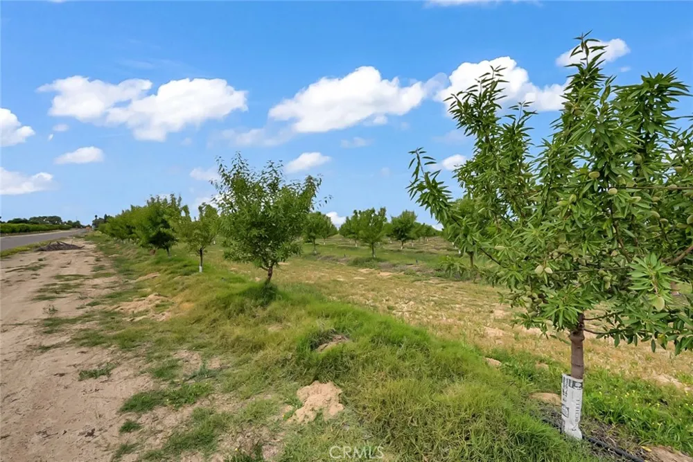 14706 Peach Avenue Livingston, CA 95334